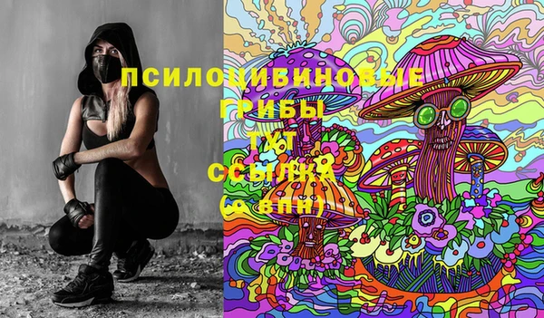 индика Алексеевка