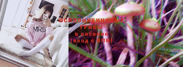 индика Алексеевка