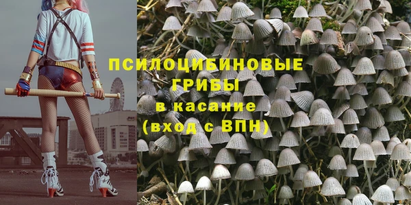 тгк Алзамай