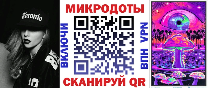 Псилоцибиновые грибы Psilocybe Чаплыгин
