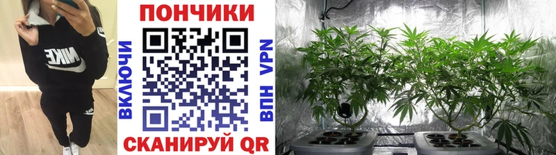 Марихуана LSD WEED  Чаплыгин 